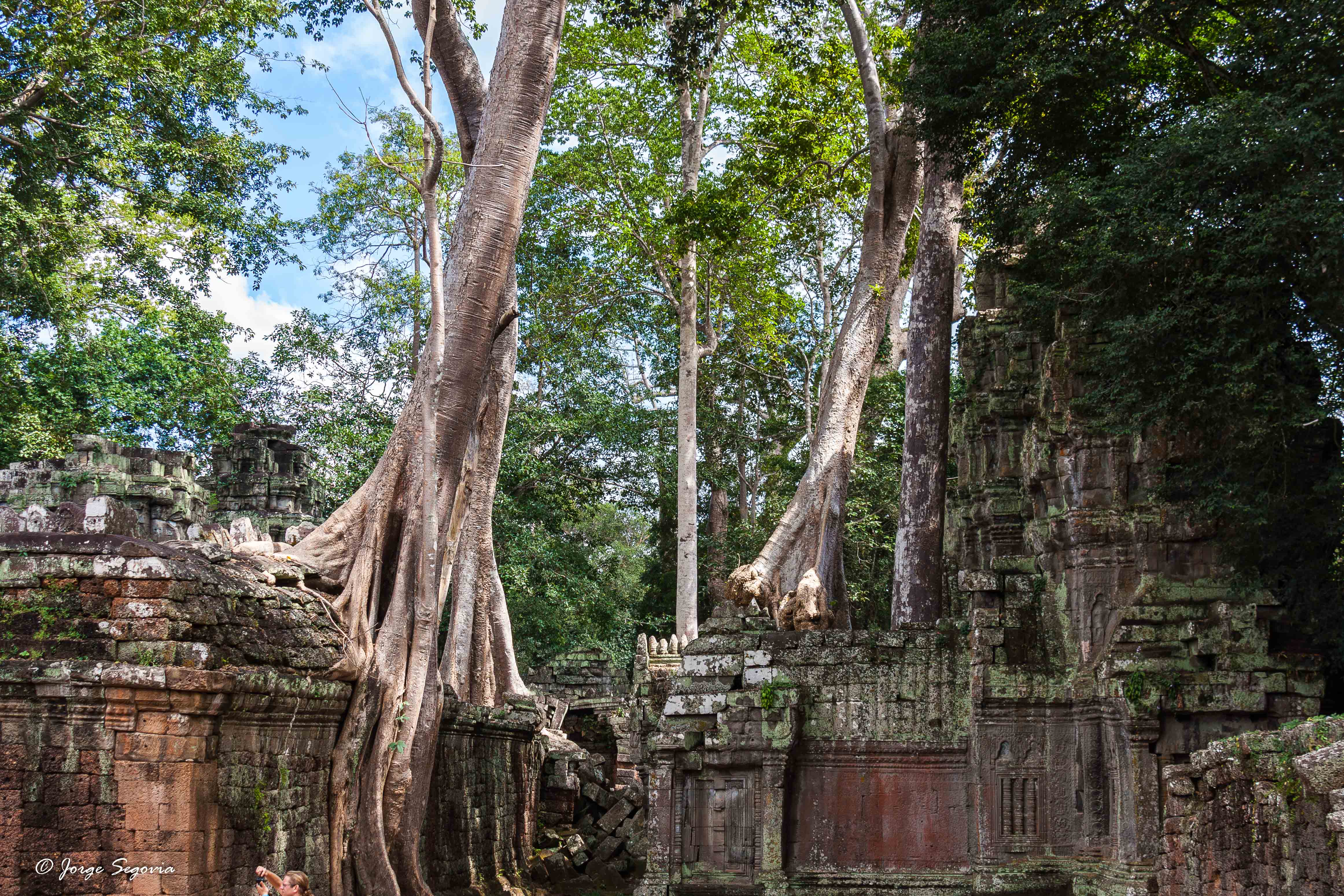 Templo de Ta Prohm en Camboya