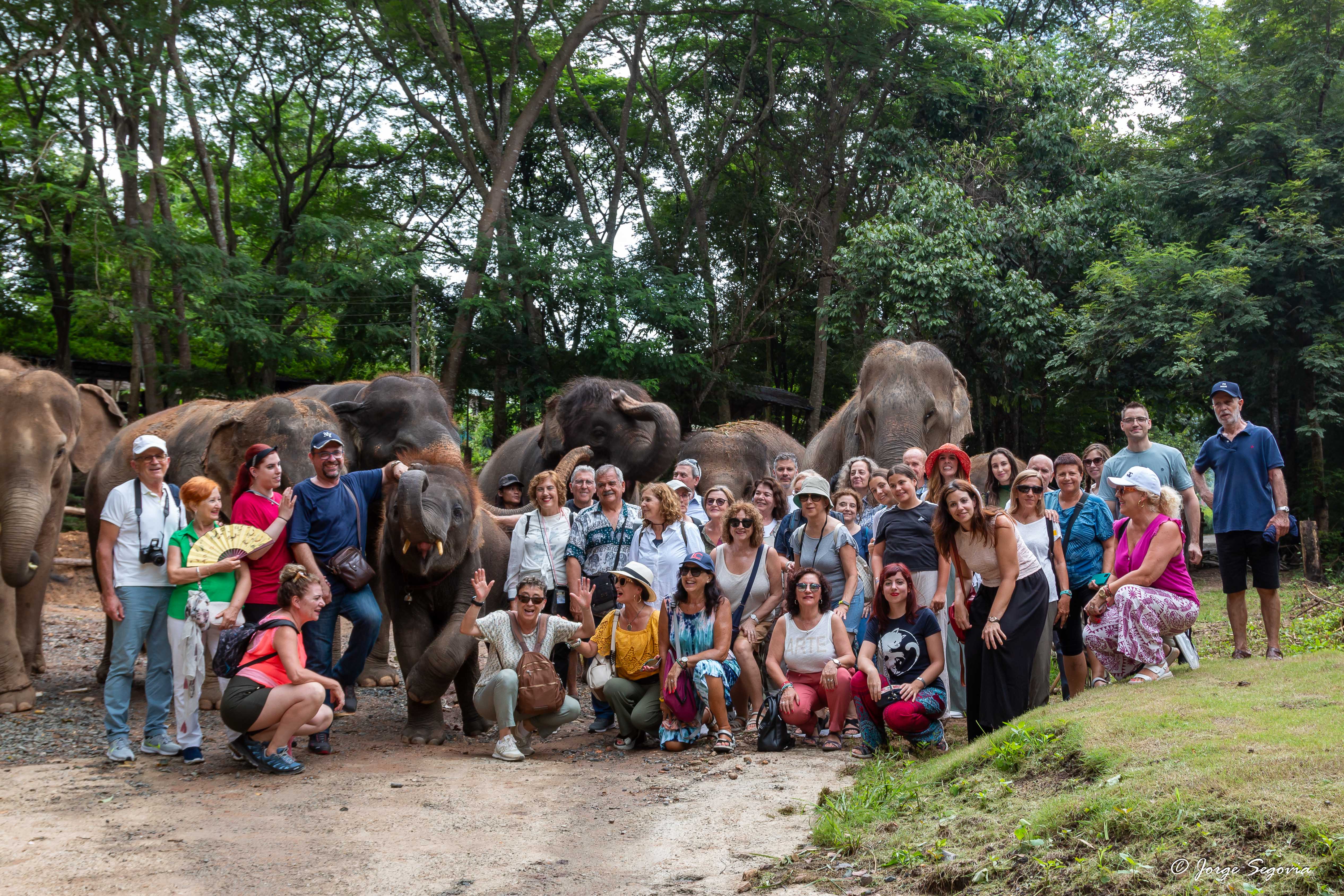 Santuarios de elefantes en Tailandia